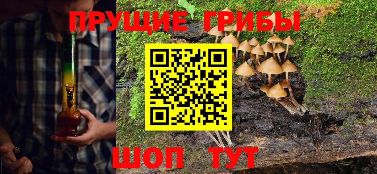 Галлюциногенные грибы Psilocybe  Вход с VPN  Галлюциногенные грибы Psilocybe  Россия 